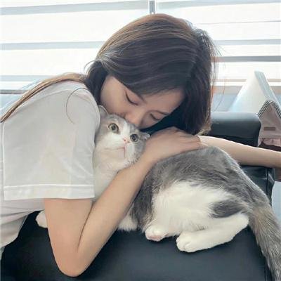 蚊子海岸